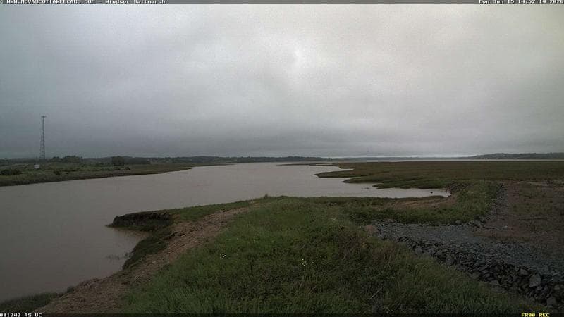 Windsor Salt Marsh