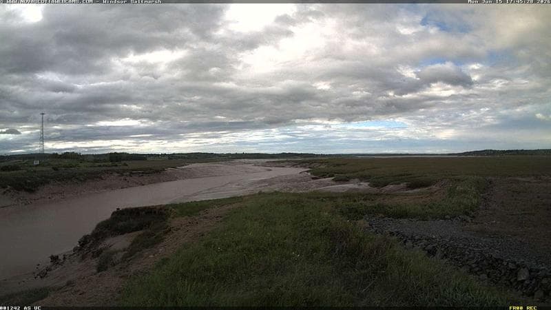 Windsor Salt Marsh