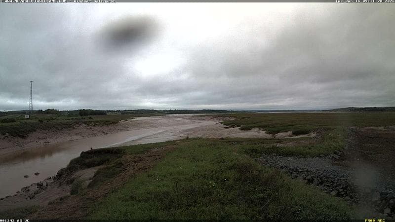 Windsor Salt Marsh