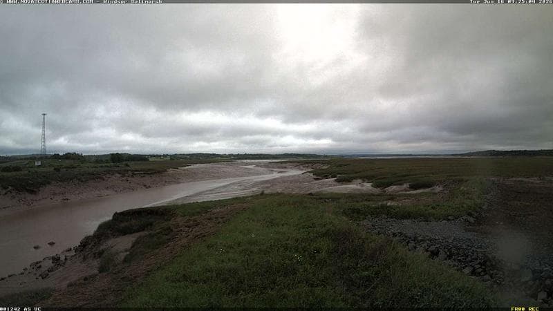 Windsor Salt Marsh