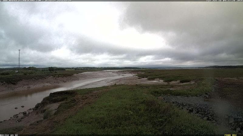 Windsor Salt Marsh