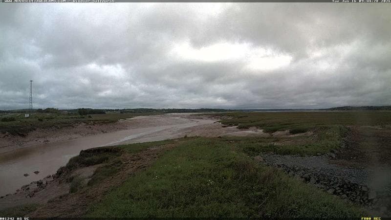 Windsor Salt Marsh
