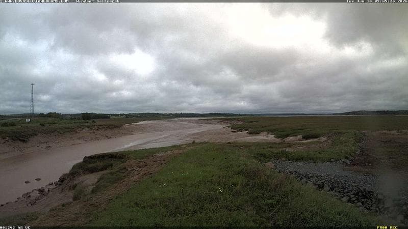 Windsor Salt Marsh