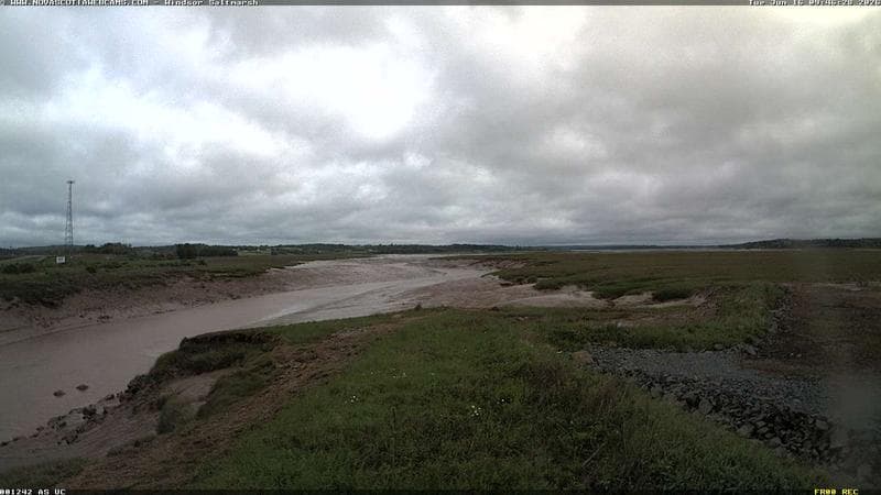 Windsor Salt Marsh