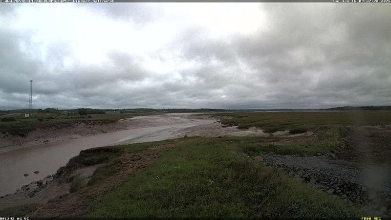 Windsor Salt Marsh