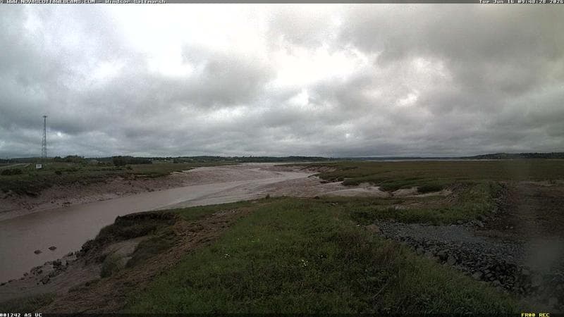 Windsor Salt Marsh