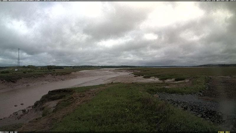 Windsor Salt Marsh