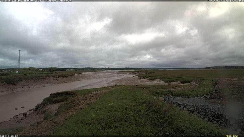 Windsor Salt Marsh
