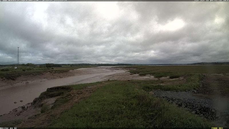 Windsor Salt Marsh
