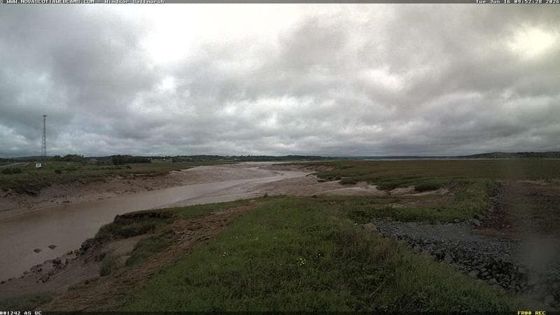 Windsor Salt Marsh