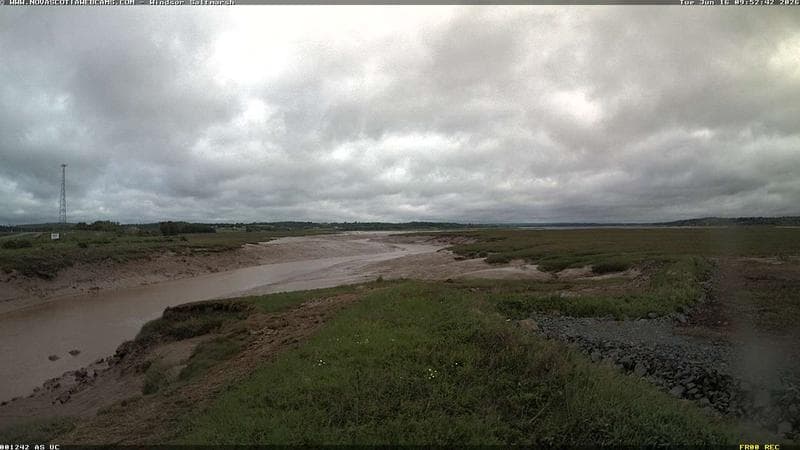 Windsor Salt Marsh