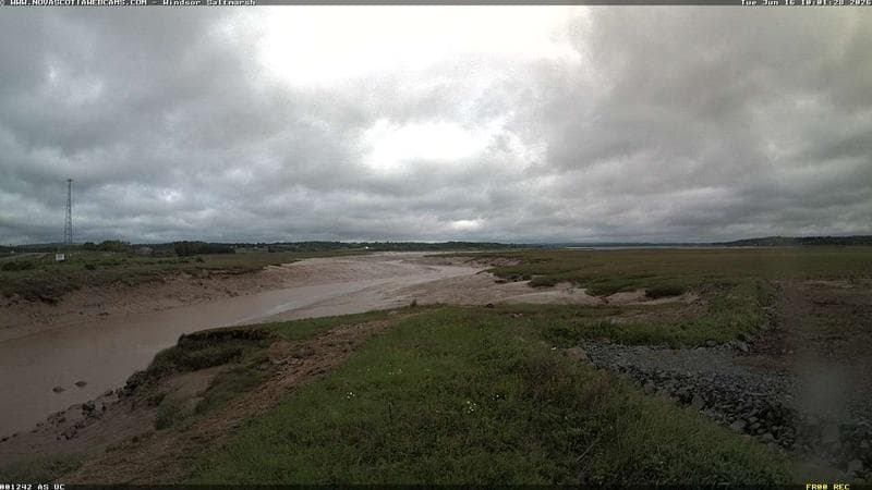Windsor Salt Marsh