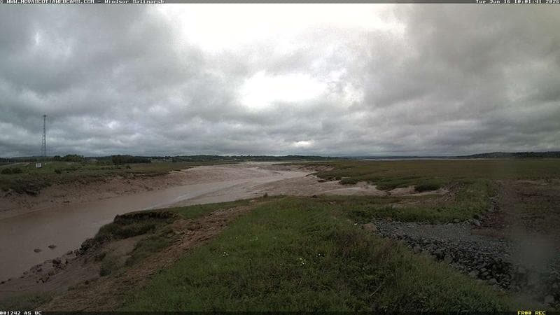 Windsor Salt Marsh