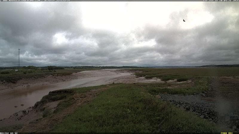 Windsor Salt Marsh