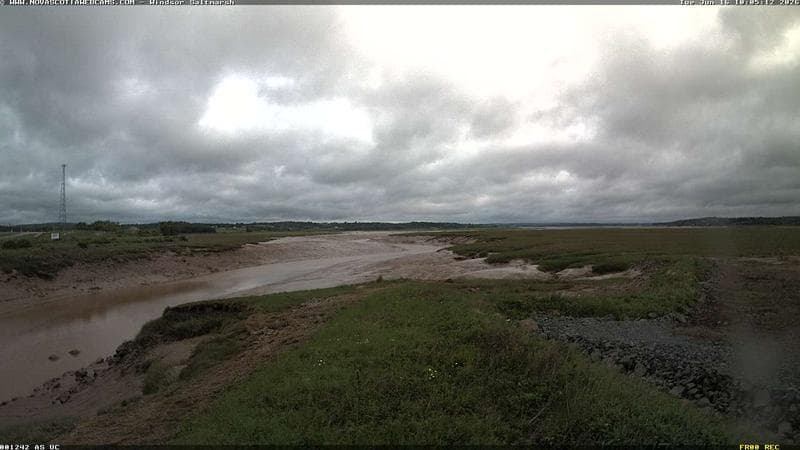 Windsor Salt Marsh