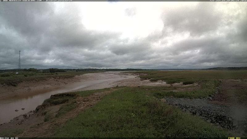 Windsor Salt Marsh