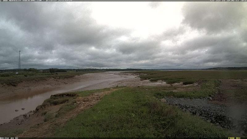 Windsor Salt Marsh