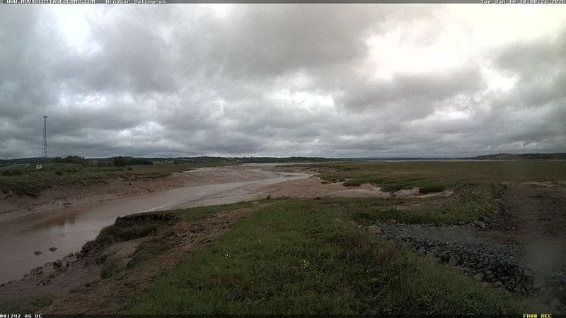 Windsor Salt Marsh