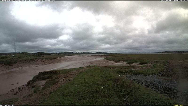 Windsor Salt Marsh