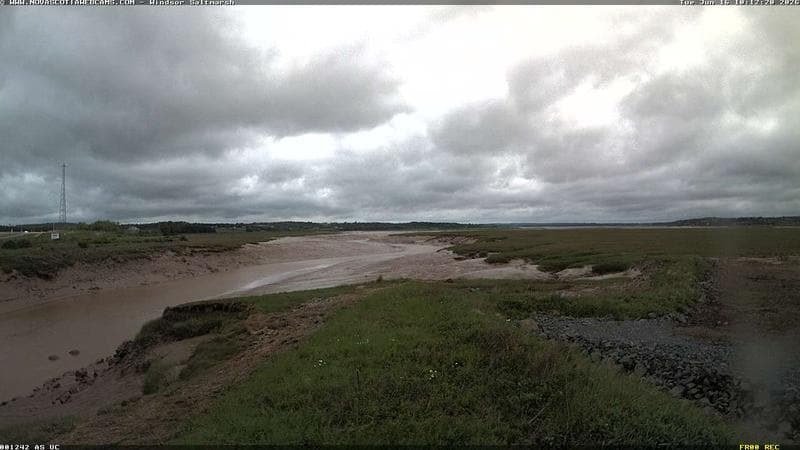 Windsor Salt Marsh