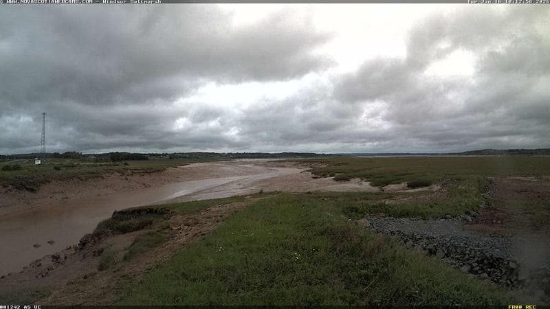 Windsor Salt Marsh