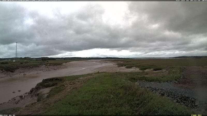 Windsor Salt Marsh