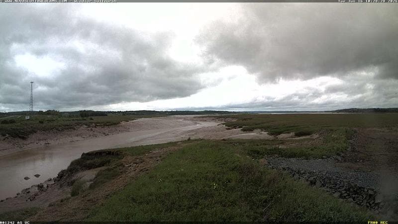 Windsor Salt Marsh