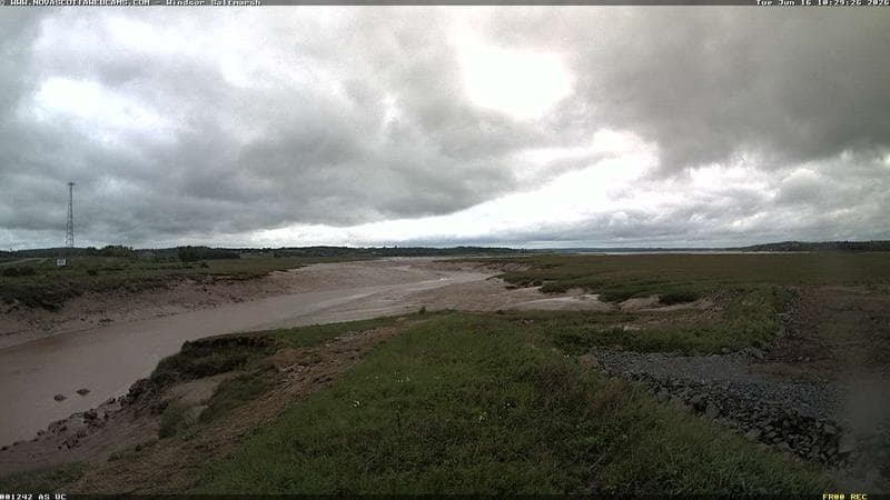 Windsor Salt Marsh