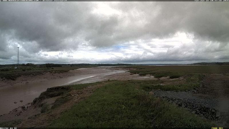 Windsor Salt Marsh