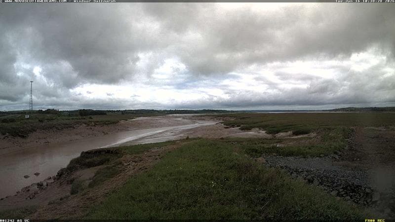 Windsor Salt Marsh