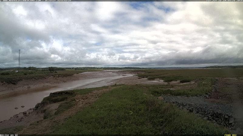 Windsor Salt Marsh
