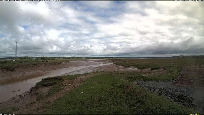 Windsor Salt Marsh