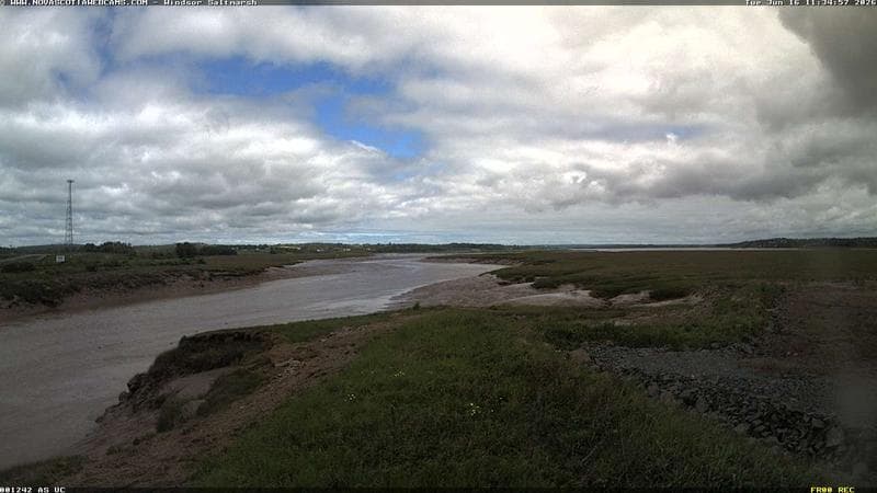 Windsor Salt Marsh