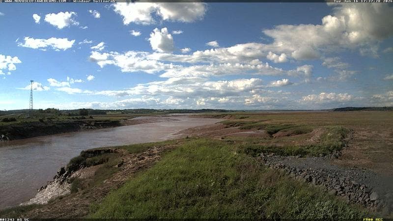 Windsor Salt Marsh