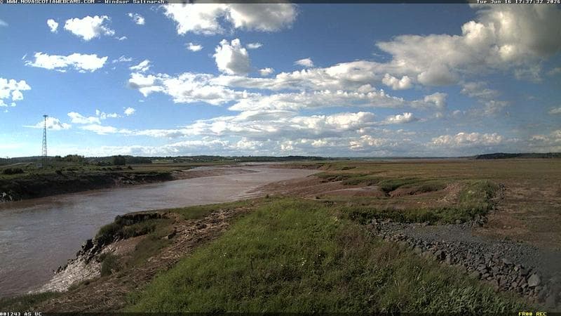 Windsor Salt Marsh