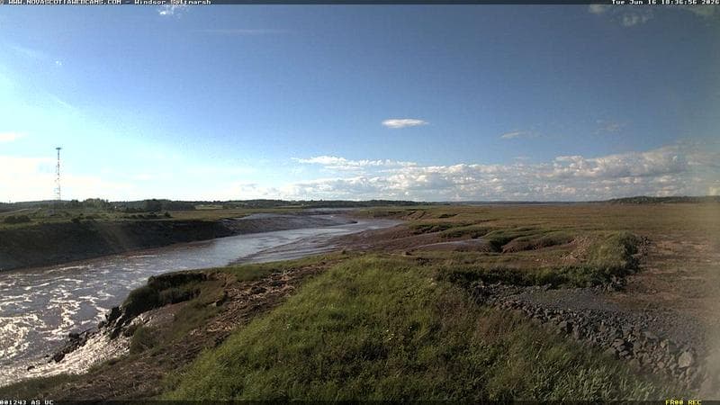 Windsor Salt Marsh