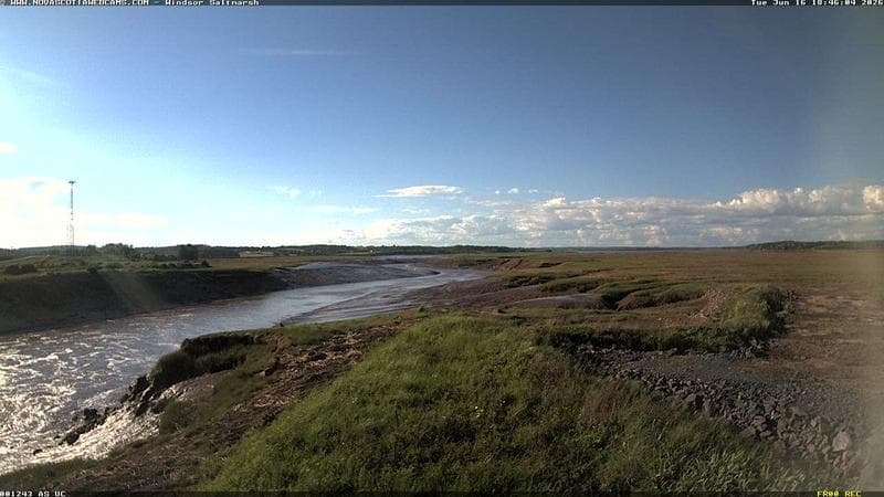 Windsor Salt Marsh