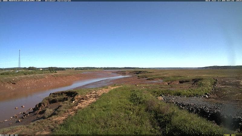 Windsor Salt Marsh