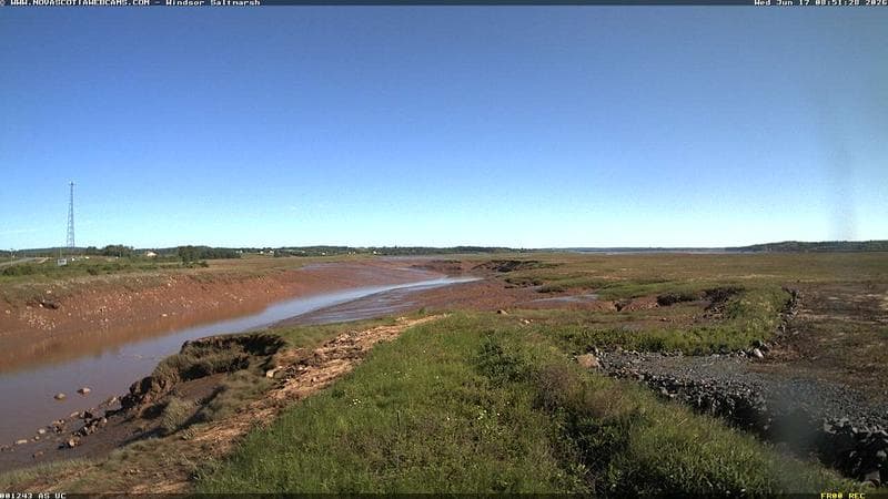 Windsor Salt Marsh