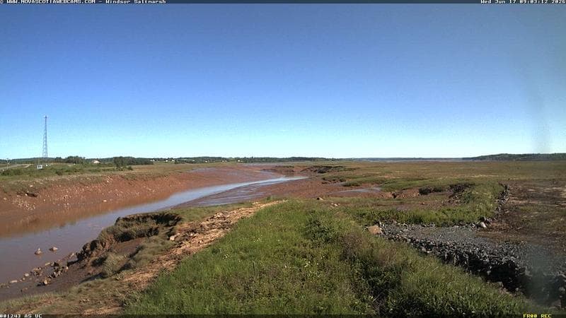 Windsor Salt Marsh