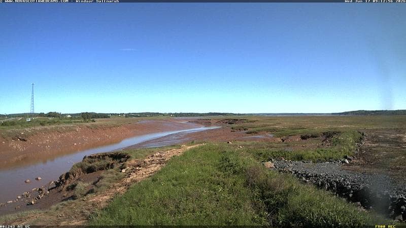 Windsor Salt Marsh
