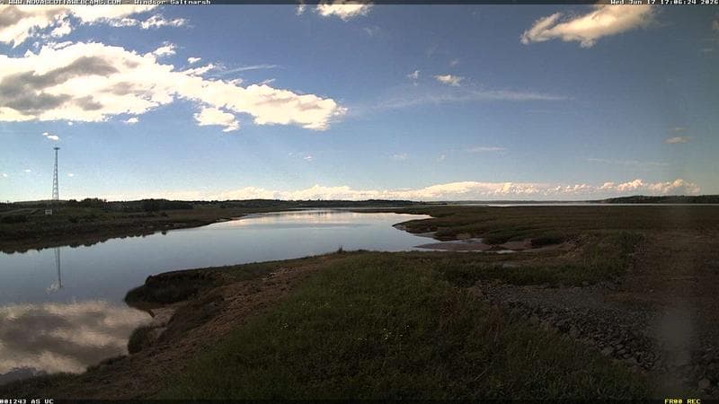 Windsor Salt Marsh
