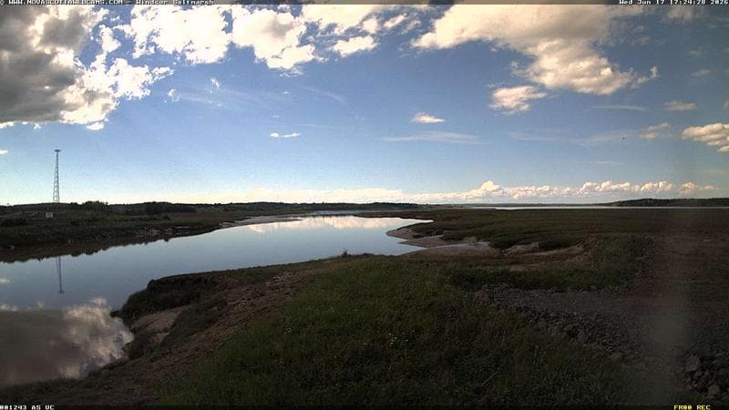 Windsor Salt Marsh