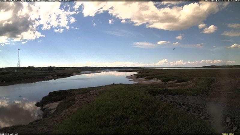 Windsor Salt Marsh
