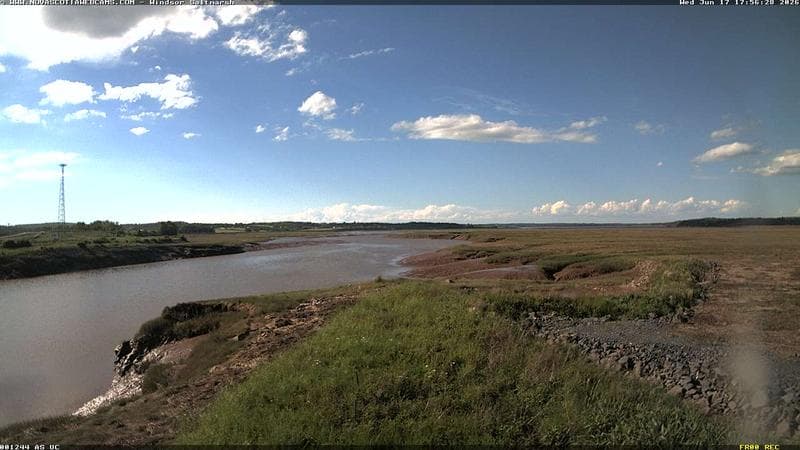 Windsor Salt Marsh