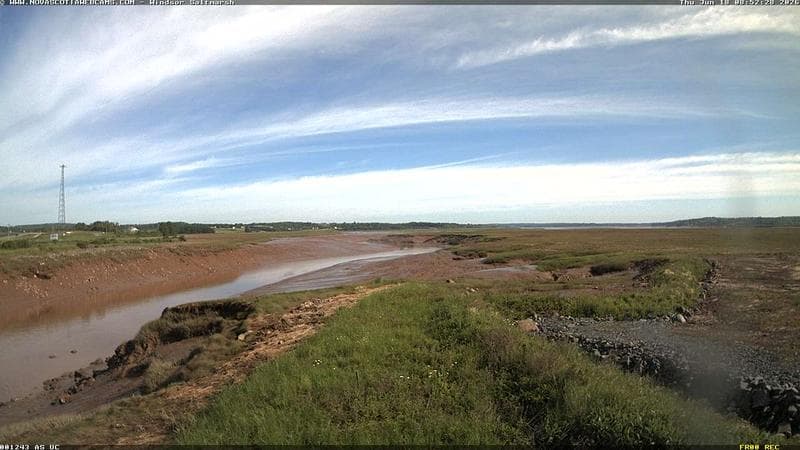 Windsor Salt Marsh