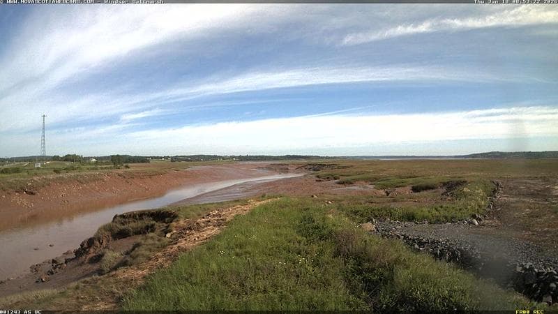 Windsor Salt Marsh