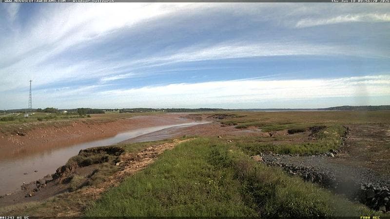 Windsor Salt Marsh