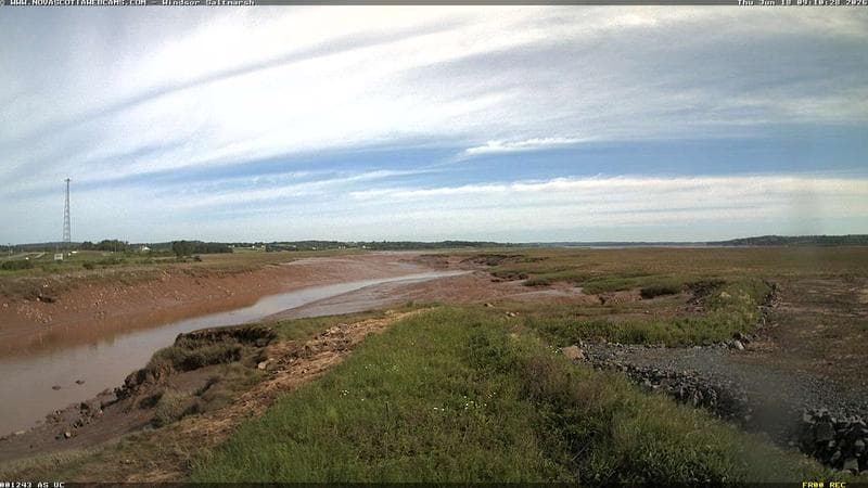 Windsor Salt Marsh