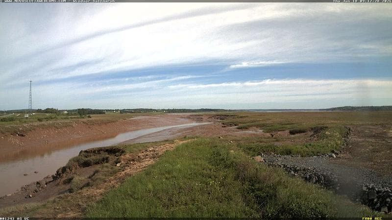 Windsor Salt Marsh